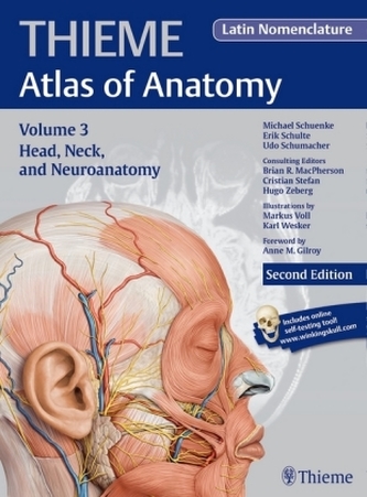 Head, Neck, and Neuroanatomy, Latin nomenclature