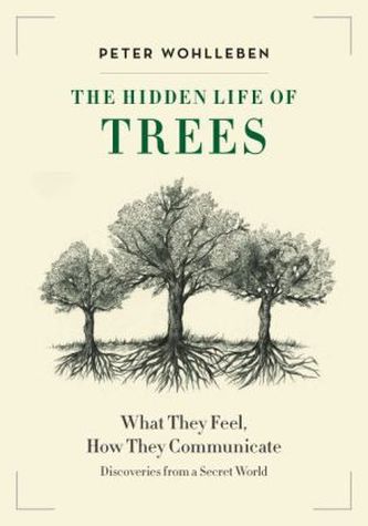 The Hidden Life of Trees