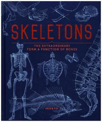 Skeletons