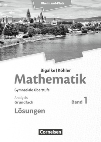 Grundfach Analysis, Lösungen
