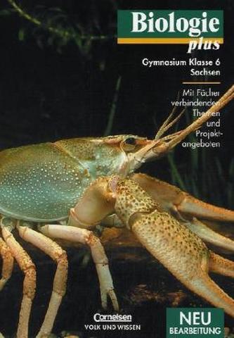 Klasse 6, Schülerbuch