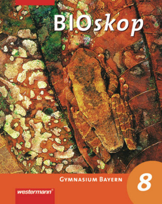 8. Jahrgangsstufe