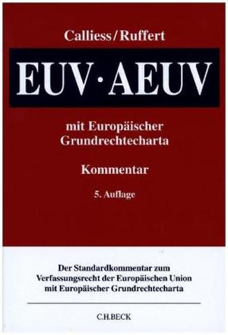 EUV/AEUV, Kommentar