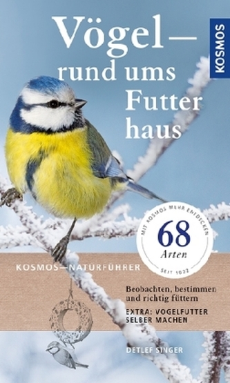 Vögel rund ums Futterhaus