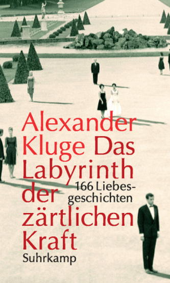 Das Labyrinth der zärtlichen Kraft, m. DVD