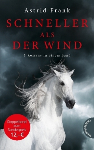 Schneller als der Wind