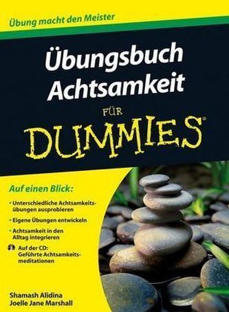 Übungsbuch Achtsamkeit für Dummies, m. Audio-CD