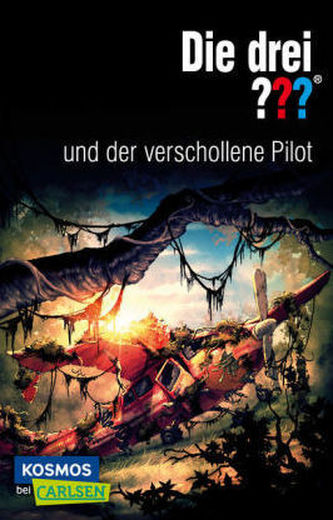 Die drei ??? und der verschollene Pilot