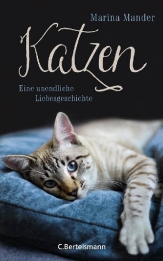 Katzen Katzen