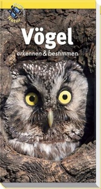 Vögel erkennen & bestimmen