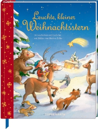 Leuchte, kleiner Weihnachtsstern!