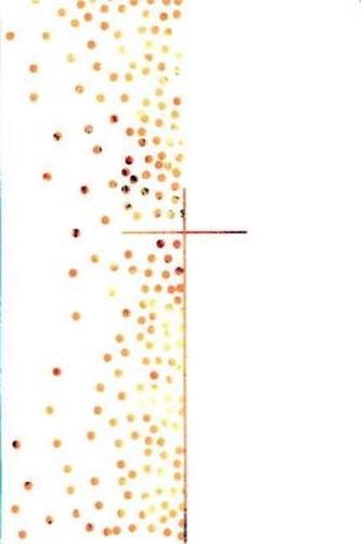 Neues Leben. NLB - Die Hochzeitsbibel, m. Erinnerungsbuch