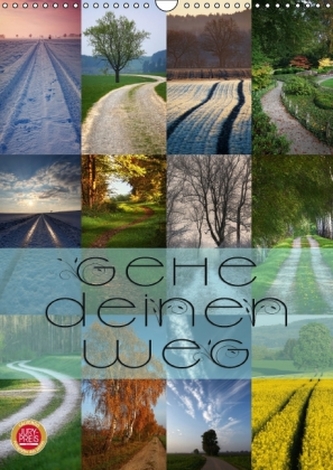 Gehe Deinen Weg (Wandkalender 2016 DIN A3 hoch)