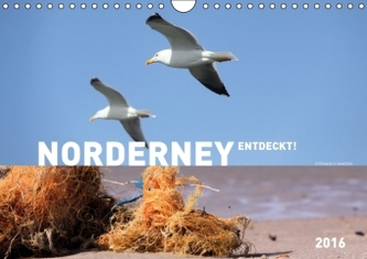 NORDERNEY ENTDECKT! 2016 (Wandkalender 2016 DIN A4 quer)