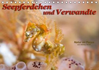 Seepferdchen und Verwandte (Tischkalender 2016 DIN A5 quer)