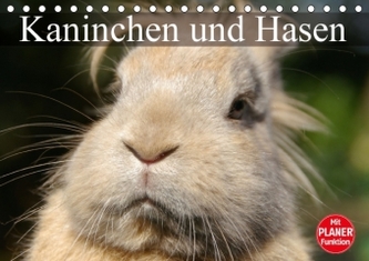 Kaninchen und Hasen (Tischkalender 2014 DIN A5 quer)