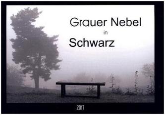 Faszination Flugzeug (Wandkalender 2017 DIN A3 quer)