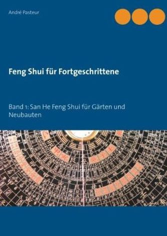 Feng Shui für Fortgeschrittene. Bd.1