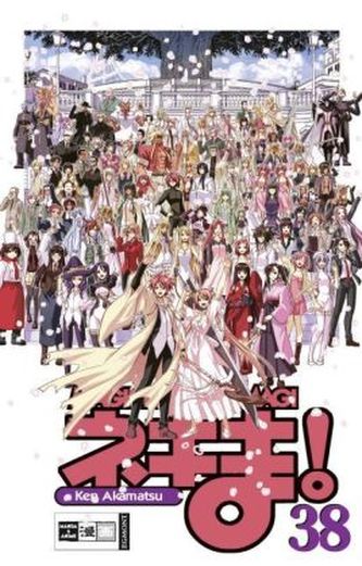 Negima! Magister Negi Magi. Bd.38