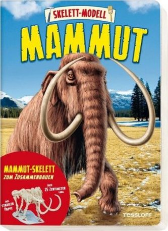 Skelett-Modell Mammut