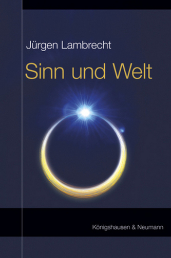 Sinn und Welt
