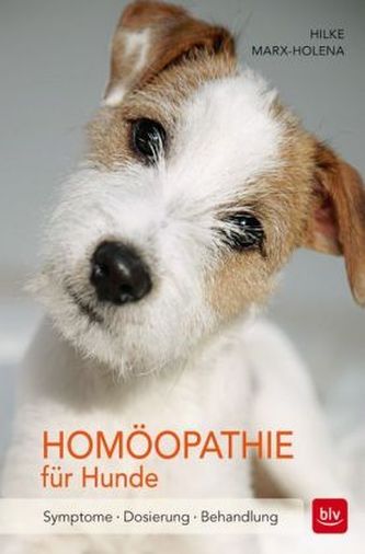 Homöopathie für Hunde