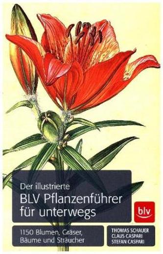 Der illustrierte BLV Pflanzenführer für unterwegs