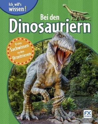 Bei den Dinosauriern