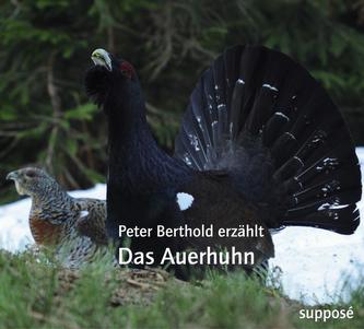Das Auerhuhn, 2 Audio-CDs