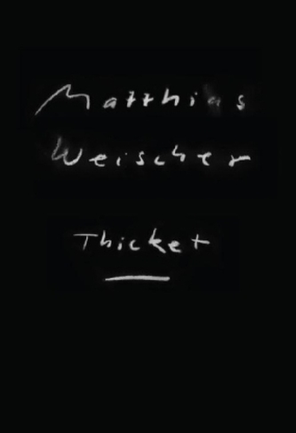 Matthias Weischer: Thicket