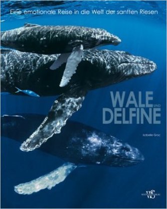 Wale und Delfine