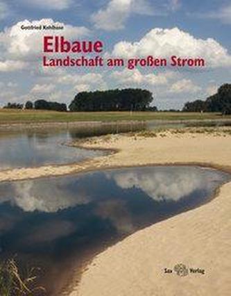 Elbaue