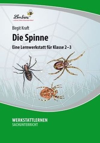 Die Spinne, 1 CD-ROM