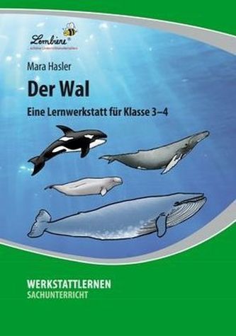 Der Wal, 1 CD-ROM