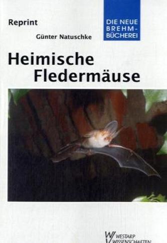 Heimische Fledermäuse
