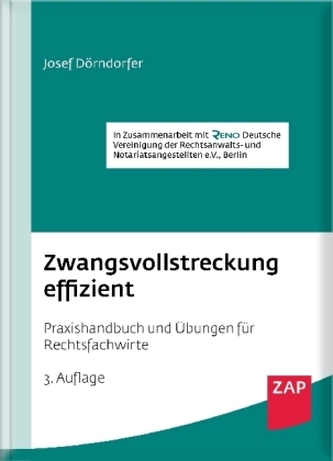 Zwangsvollstreckung effizient