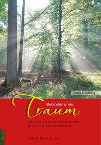 Mein Leben ist ein Traum. Bd.2