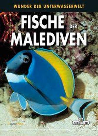 Fische der Malediven