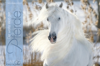 Die Weite Welt der Pferde