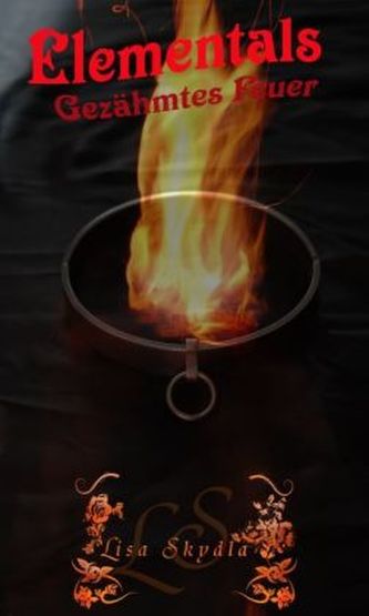 Elementals - Gezähmtes Feuer, MP3-CD