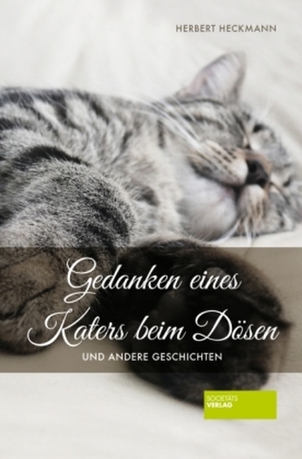Gedanken eines Katers beim Dösen