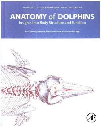 Anatomy of Dolphins