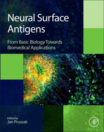 Neural Surface Antigens