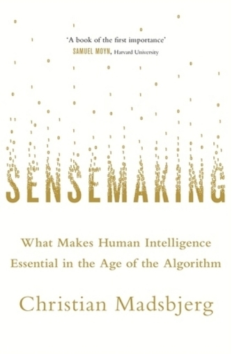 Sensemaking Sensemaking