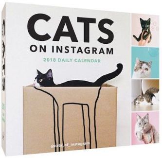 Cats on Instagram 2018