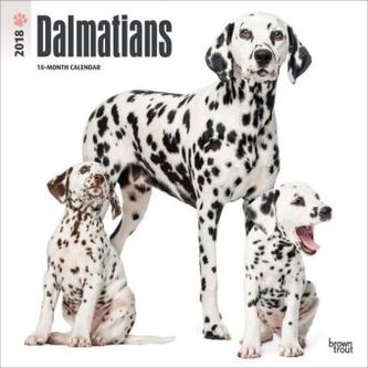 Dalmatians 2018