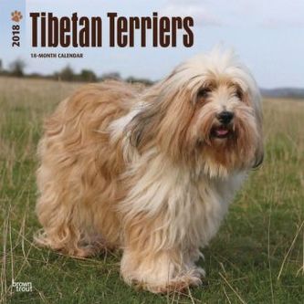 Tibetan Terriers 2018