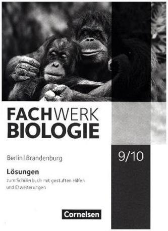 9./10. Schuljahr, Lösungen