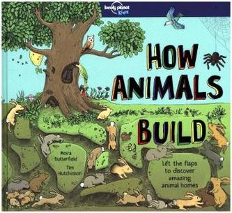 How Animals Build
