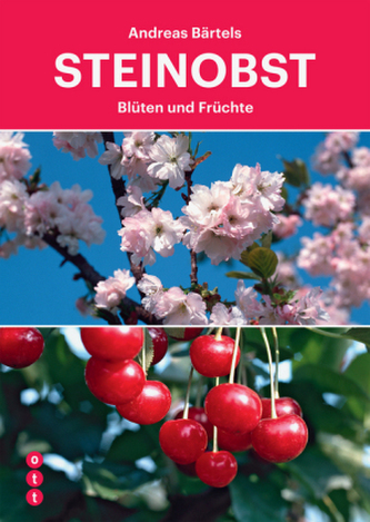Steinobst Steinobst